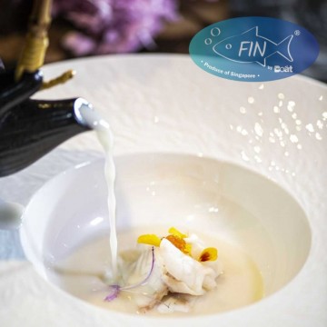 Jade Perch Collagen Soup 500 翡翠胶原鱼骨汤