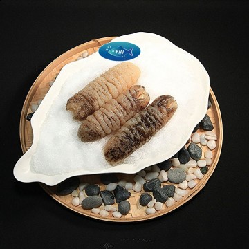 Sea Cucumber Sandfish