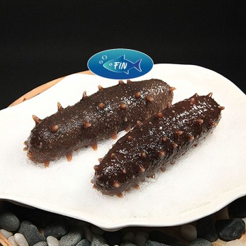 Spined Sea Cucumber