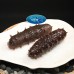 Spined Sea Cucumber