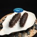 Spined Sea Cucumber
