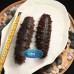Spined Sea Cucumber