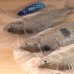 Frozen Seafood