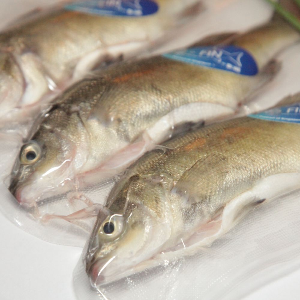 Frozen Seafood