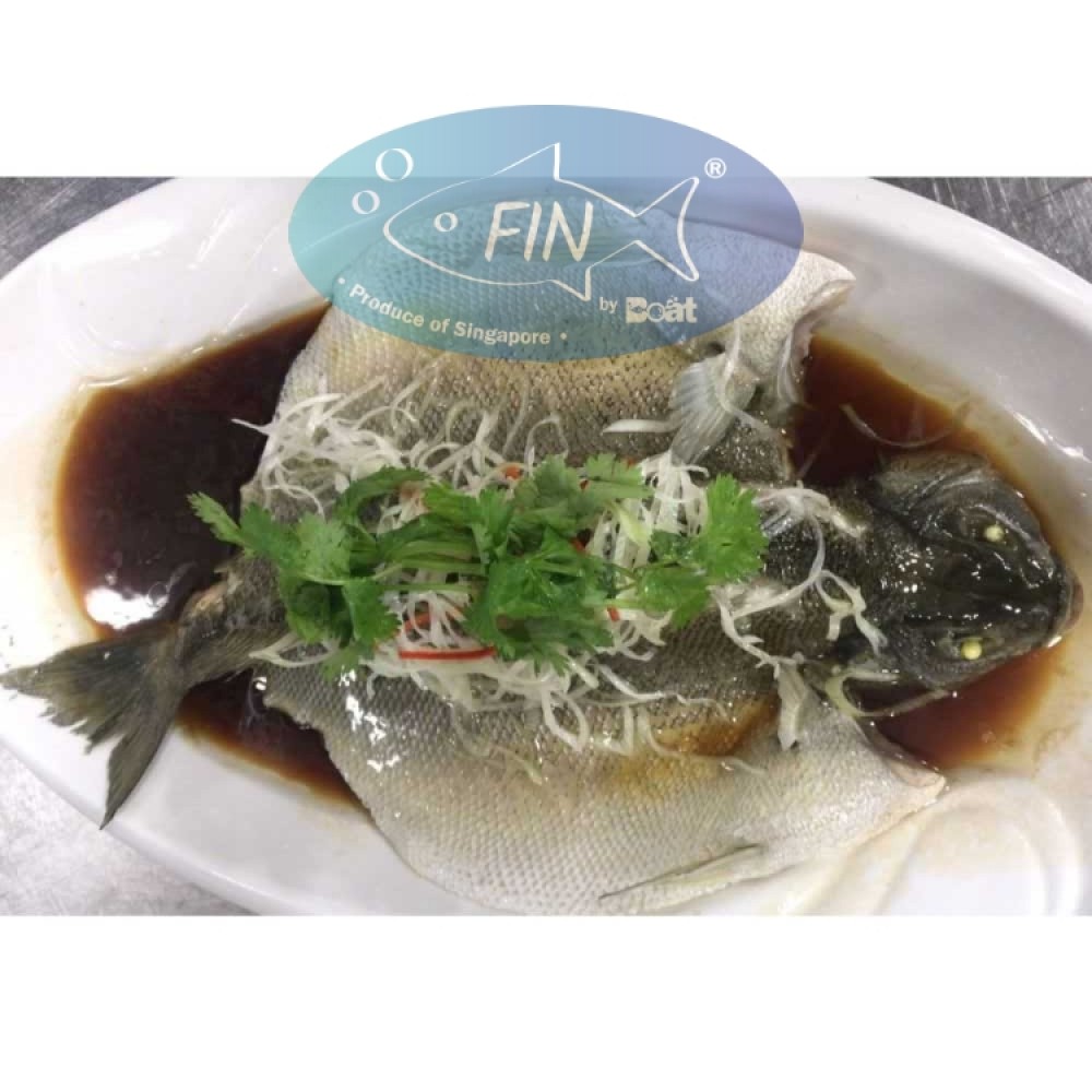 Fresh Fish