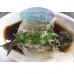 Fresh Fish